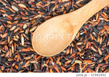 Black wild rice 42982602