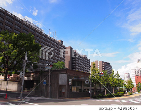 Hyogo Prefectural Office　兵庫県庁　県庁前駅 42985057