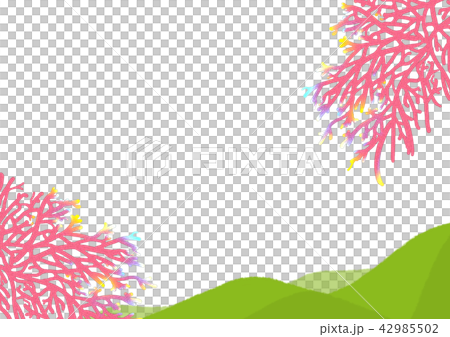 サンゴ 珊瑚 海 夏 背景 背景素材 さわやかのイラスト素材