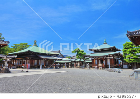 善通寺　誕生院 42985577