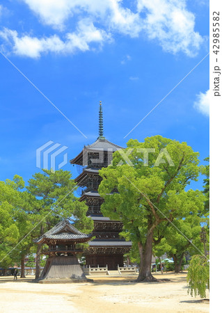 善通寺 五重塔 善通寺 五重塔 42985582