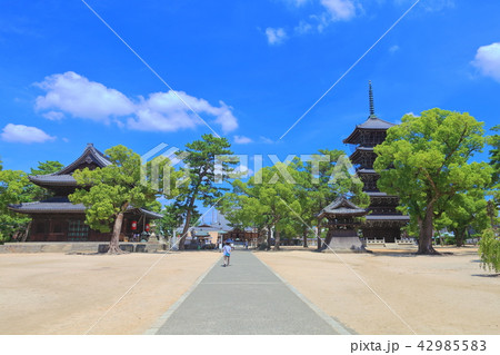 善通寺　東院伽藍 42985583