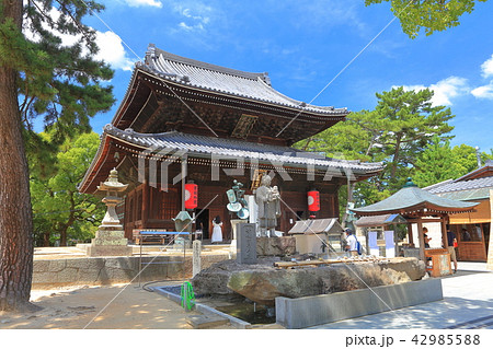善通寺　金堂 42985588