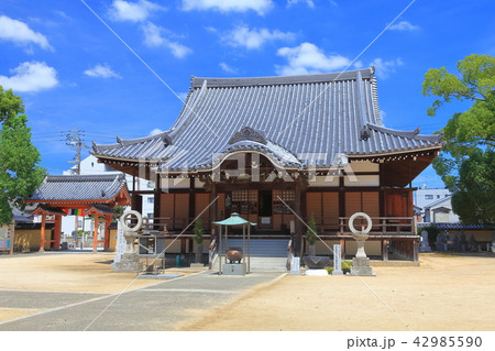 善通寺 釈迦堂 善通寺 釈迦堂 42985590