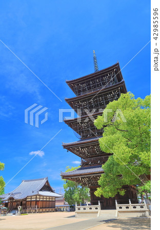 善通寺 五重塔と釈迦堂 善通寺 五重塔と釈迦堂 42985596