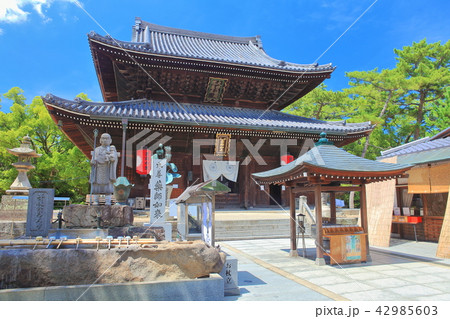 善通寺 金堂 善通寺 金堂 42985603