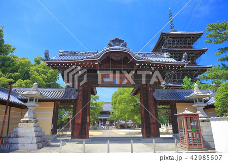 善通寺　南大門と五重塔 42985607