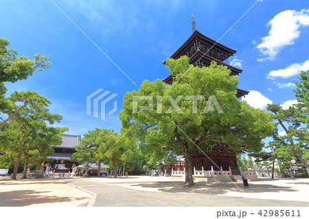 善通寺　東院伽藍 42985611