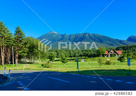 八幡平のみんなの広場より岩手山を望む 42986582