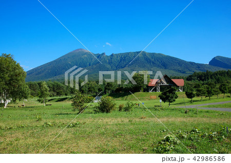 八幡平のみんなの広場より岩手山を望む 42986586