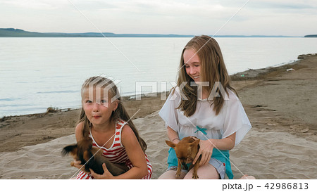 Two children playing which dogs on the sand on the beach. 42986813