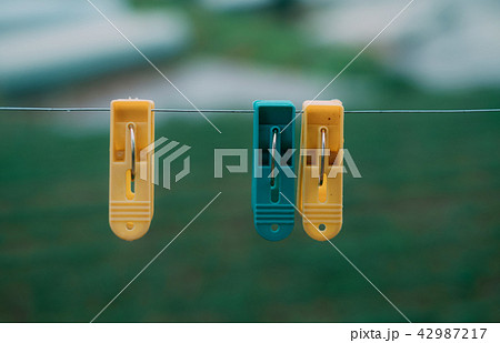 Colorful plastic clothes pegs Colorful plastic clothes pegs 42987217