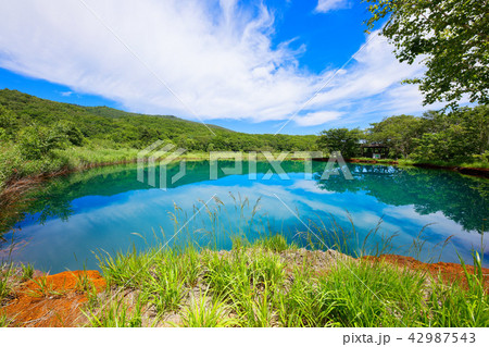 八幡平　青すぎる御在所の赤沼　岩手県八幡平市 42987543