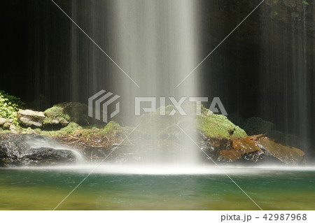 龍頭ヶ滝（りゅうずがたき）雄滝　8月 42987968