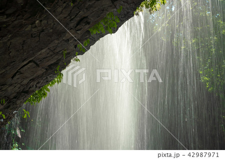 龍頭ヶ滝(りゅうずがたき)雄滝 8月 龍頭ヶ滝(りゅうずがたき)雄滝 8月 42987971