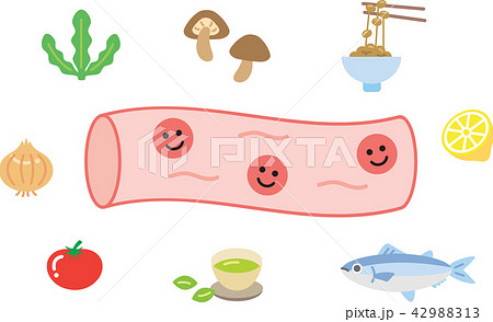健康な血管と良い食べ物のイラスト素材 42988313 Pixta