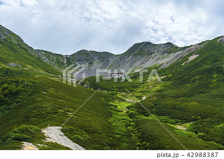 仙丈ヶ岳 42988387