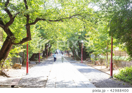 中山参道 42988400