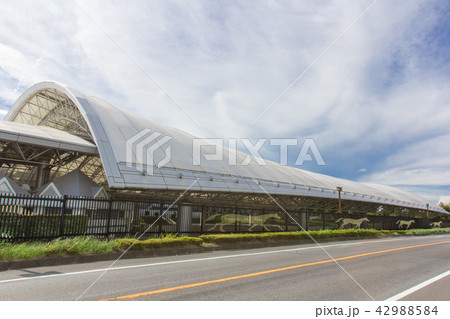 中山競馬場 中山競馬場 42988584