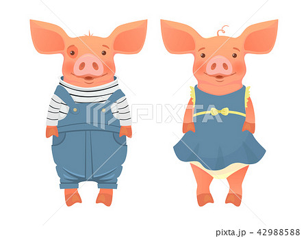 two pigs in clothes 42988588