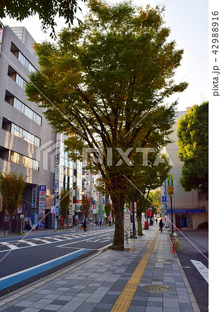 県庁通り（さいたま市浦和区） 42988916