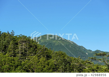 小仙丈ヶ岳 42988956