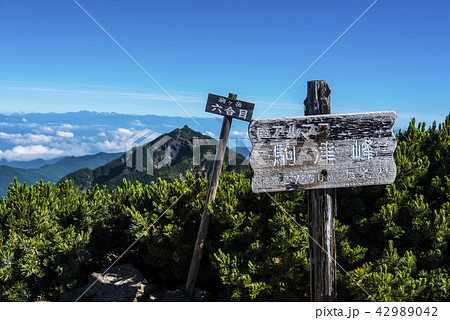 甲斐駒ヶ岳駒津峰と北アルプス 42989042