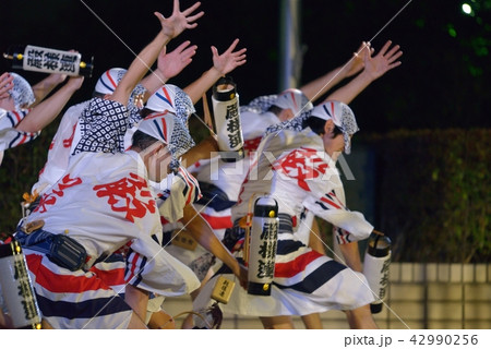 本場徳島阿波踊り 迫力の男踊り 本場徳島阿波踊り 迫力の男踊り 42990256