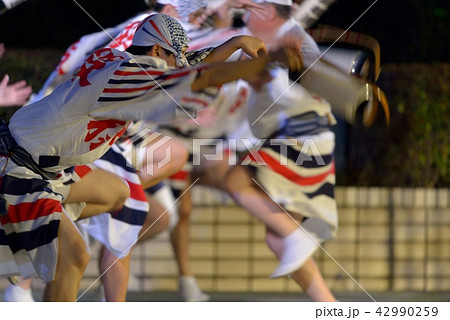本場徳島阿波踊り　迫力の男踊り 42990259