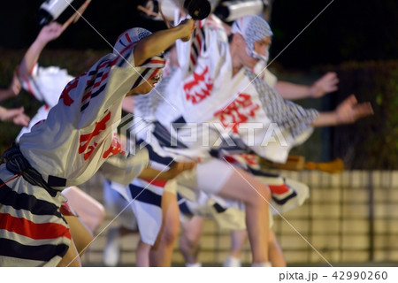 本場徳島阿波踊り　迫力の男踊り 42990260