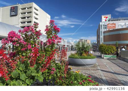 南大沢駅ペデストリアンデッキ 花壇 駅方向 南大沢駅ペデストリアンデッキ 花壇 駅方向 42991136