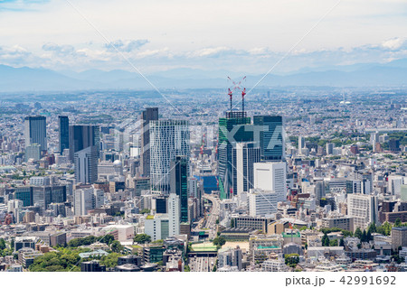 【東京都】都市風景 【東京都】都市風景 42991692