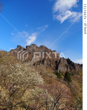 妙義山さくらの里 妙義山さくらの里 42991721