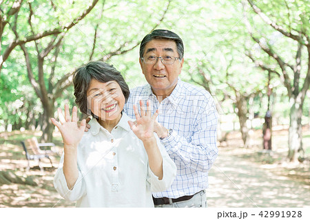 シニア オシドリ夫婦 シニア オシドリ夫婦 42991928