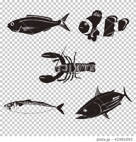 Sea life silhouette Sea life silhouette 42992093