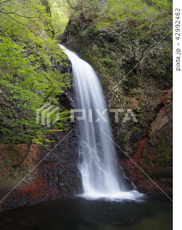 大仙の滝 42992462