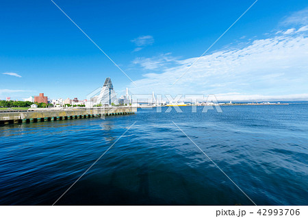 【青森県青森市】青森ベイエリア全景が見える風景 42993706