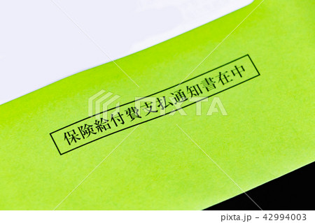保険給付費支払通知書 42994003