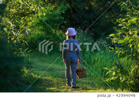 Young girl walking on a path through green woods carrying a basket Young girl walking on a path through green woods carrying a basket 42994046