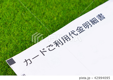 カードご利用代金明細書 42994095