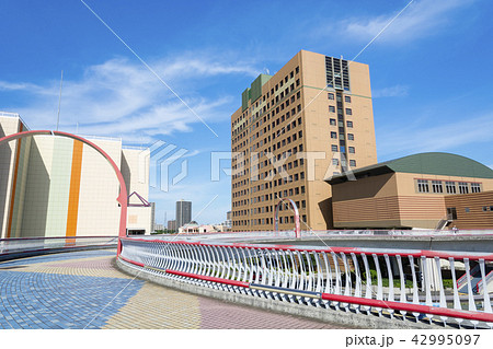 南大沢輪舞歩道橋から見る市街風景 42995097