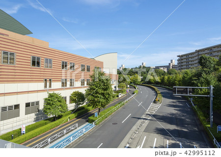 南大沢輪舞歩道橋から見る市街風景 42995112