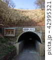 島武意海岸　トンネル入口 42995321