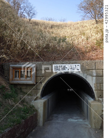 島武意海岸　トンネル入口 42995321