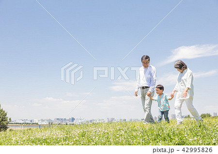 シニア　オシドリ夫婦 42995826