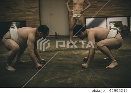 Sumo wrestling 42996212
