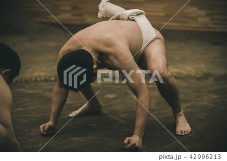 Sumo wrestling 42996213