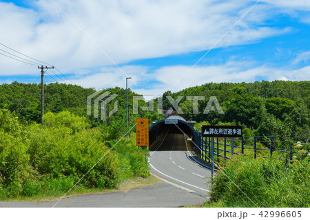 御在所沼沿いの道路と学習院前スノーシェルター　岩手県八幡平市 42996605