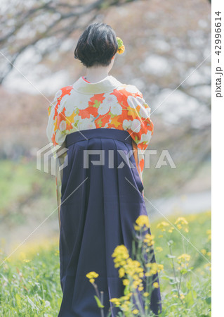 Sakura 42996614