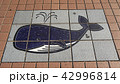 路上の絵タイル　くじら 42996814
